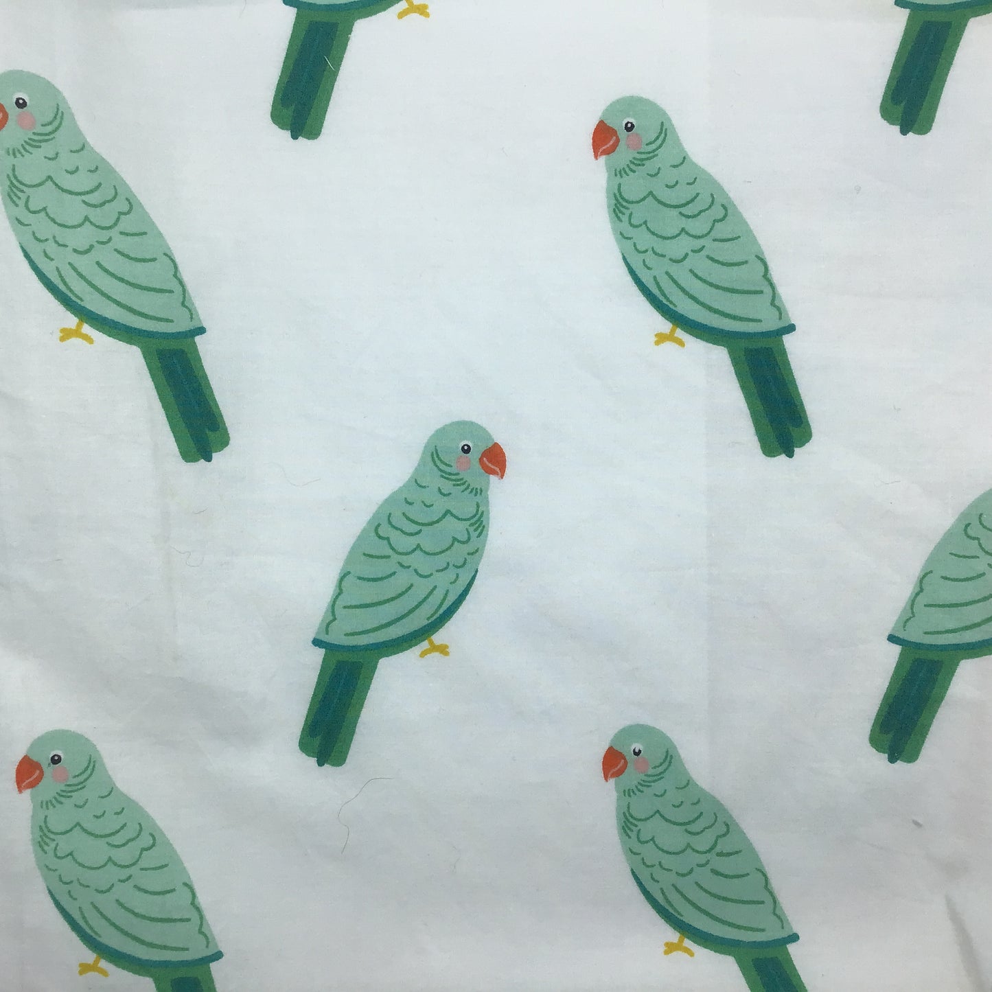 Parrot - Weighted eye pillow